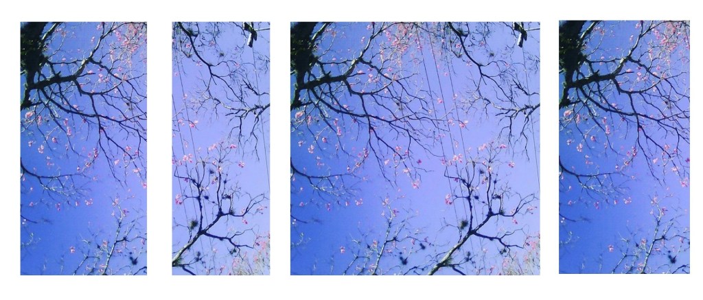 UM POEMA DE CHARLES BERNDT