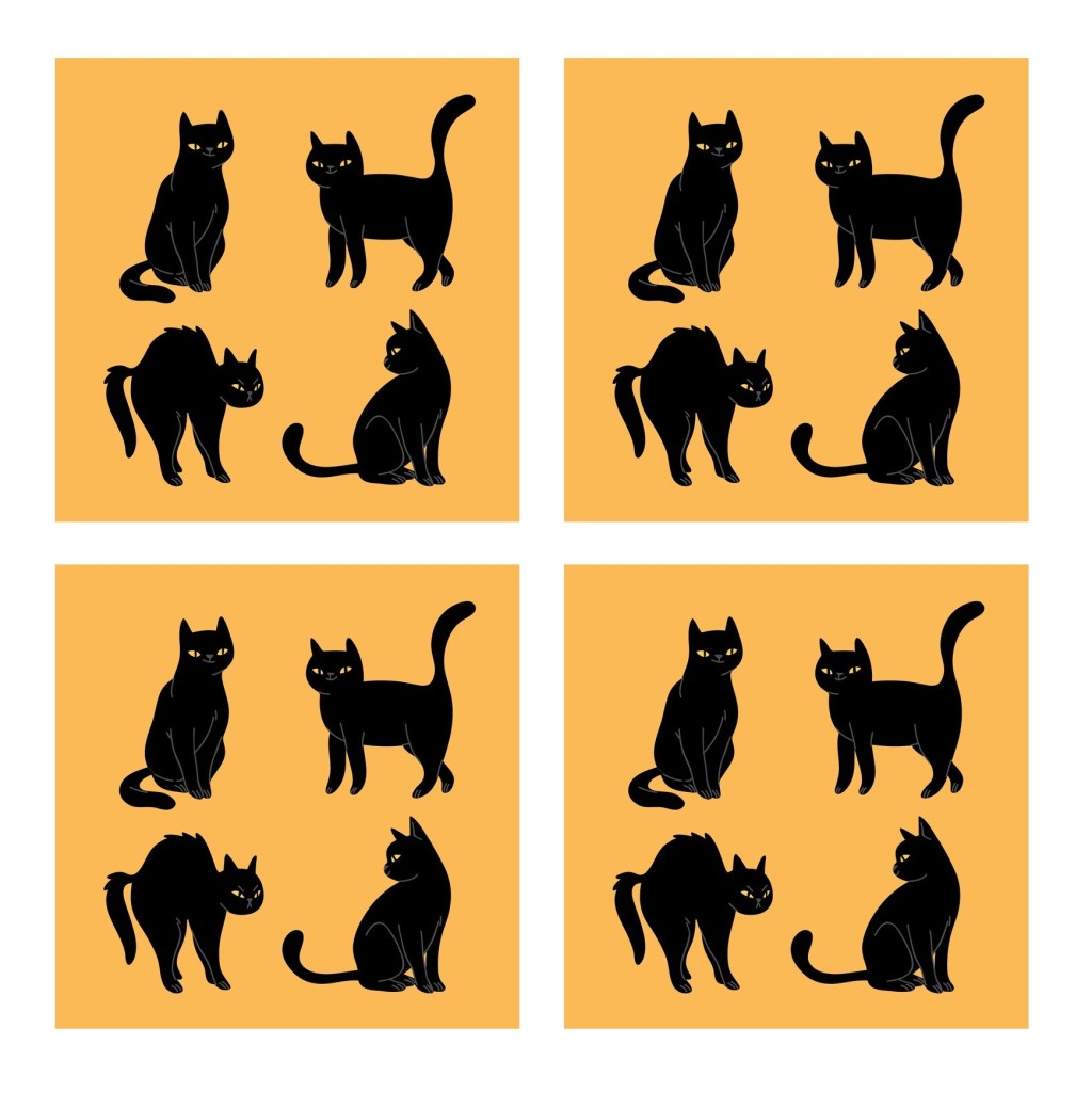 TRAÇA – MAIARA LEME