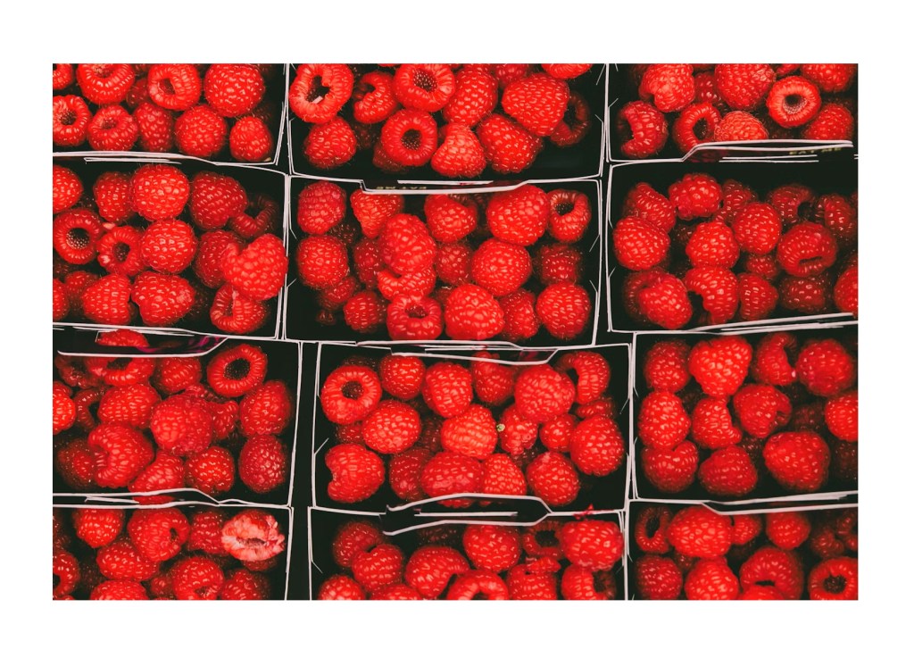 DIA DE FEIRA – NÊMESIS PARESCHI