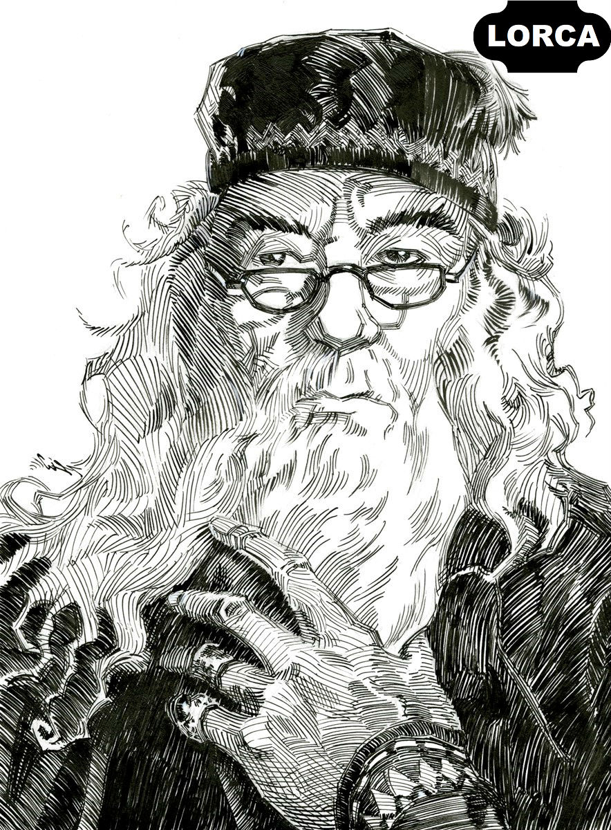 HARRY POTTER E A COMUNIDADE LGBT: DUMBLEDORE DENTRO OU FORA DO ARMÁRIO? –  VÍCIO VELHO, image size:884x1200