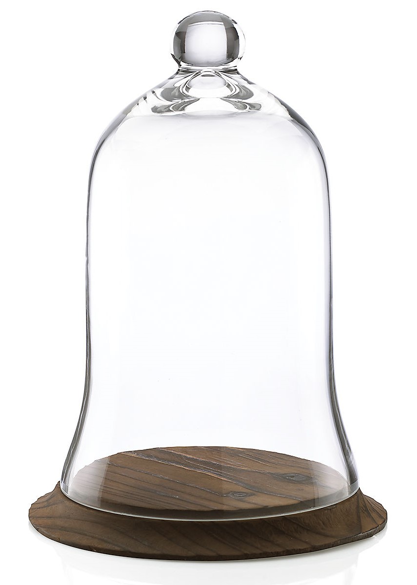 SYLVIA PLATH, A PAIXÃO SE FEZ VERBO MORRER – ROMULO NARDUCCI