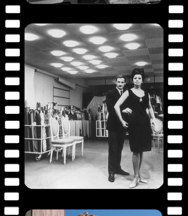 TODA MULHER É LOUCA – VIVIANE BECCARIA