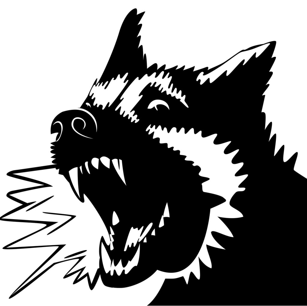 TEMPOS DIFÍCEIS: COMO PROJETAR NO CAOS? – NATÁLIA DE’ CARLI