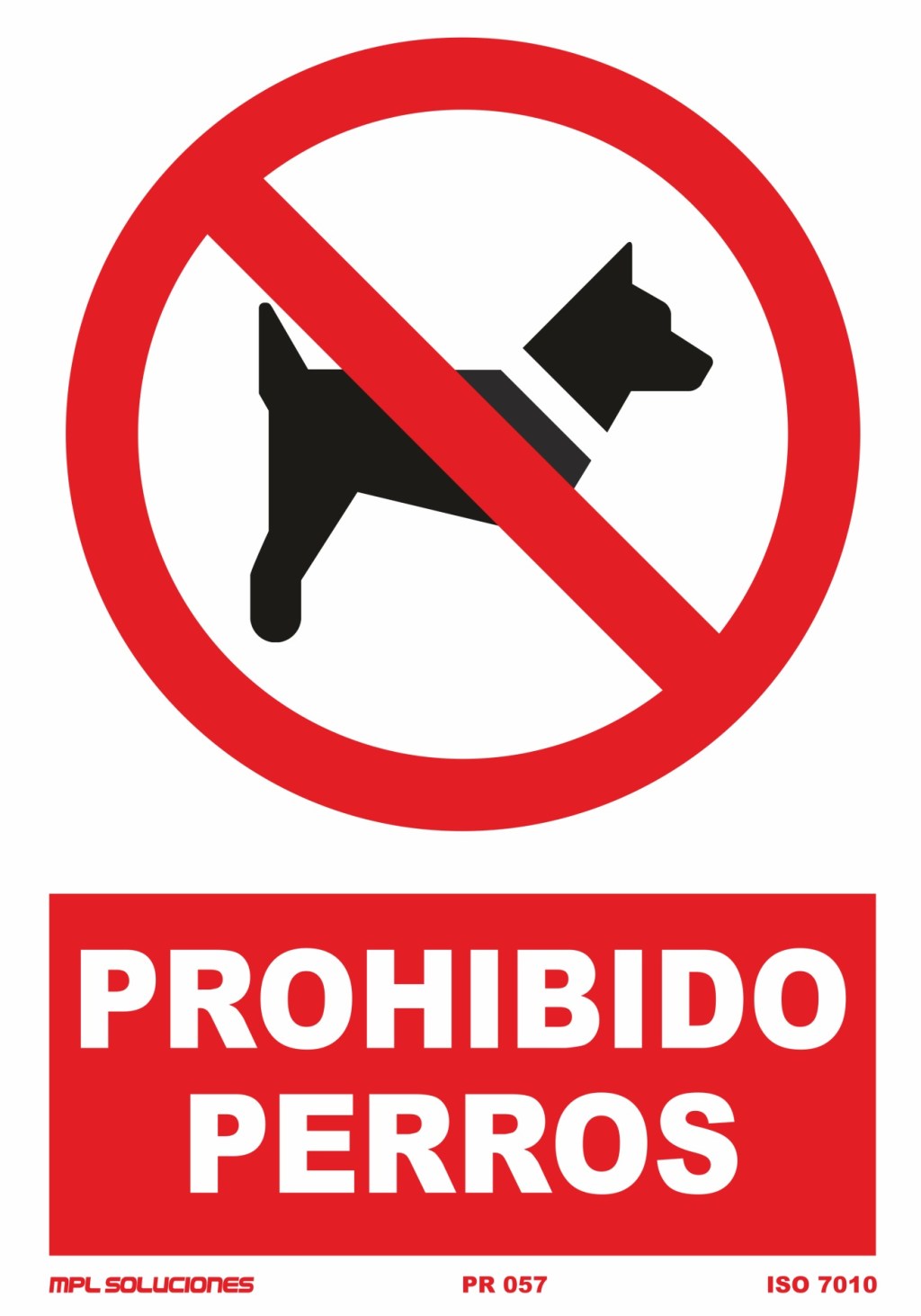 CONSTRANGIMENTO CANINO – IVAN HEGEN