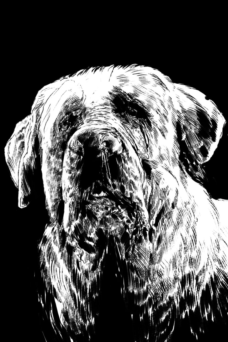 A LOUCURA DE KING – BEATRIZ BRASSAROTO