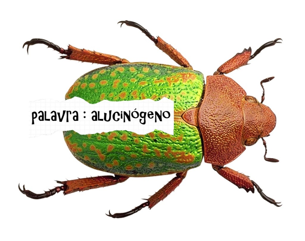 UMA CONVERSA SEM EIRA NEM&nbsp;BEIRA