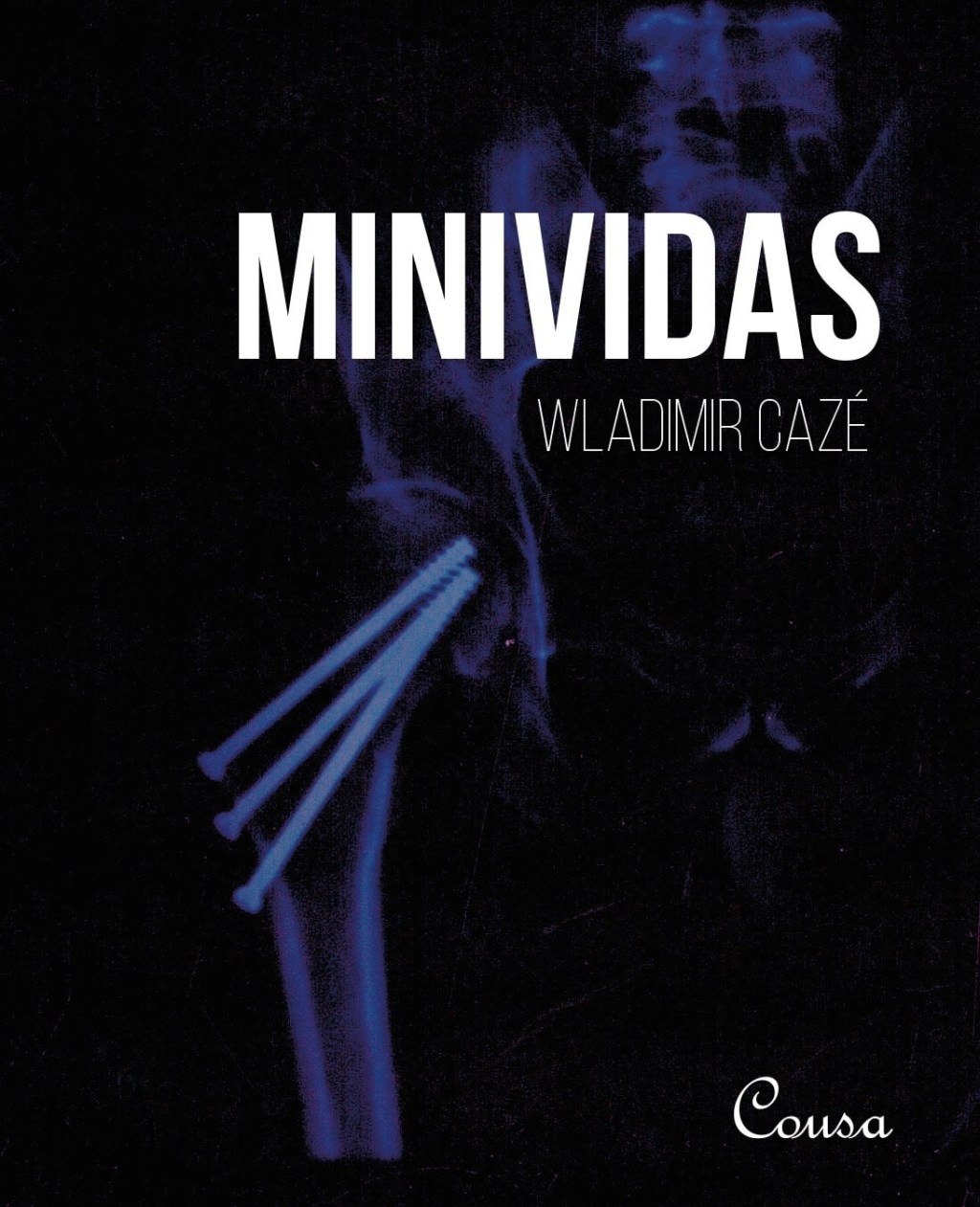 DOIS POEMAS DE WLADIMIR&nbsp;CAZÉ