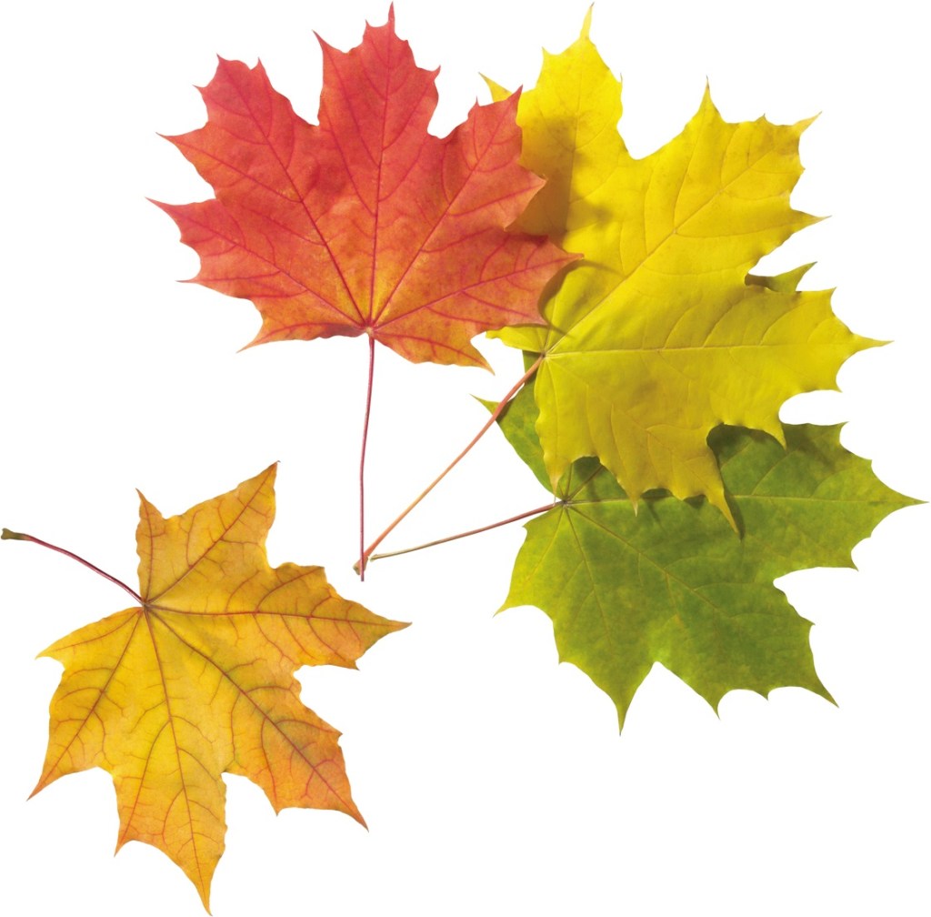 O RETORNO DOS MORTOS – MARCOS VINÍCIUS&nbsp;ALMEIDA