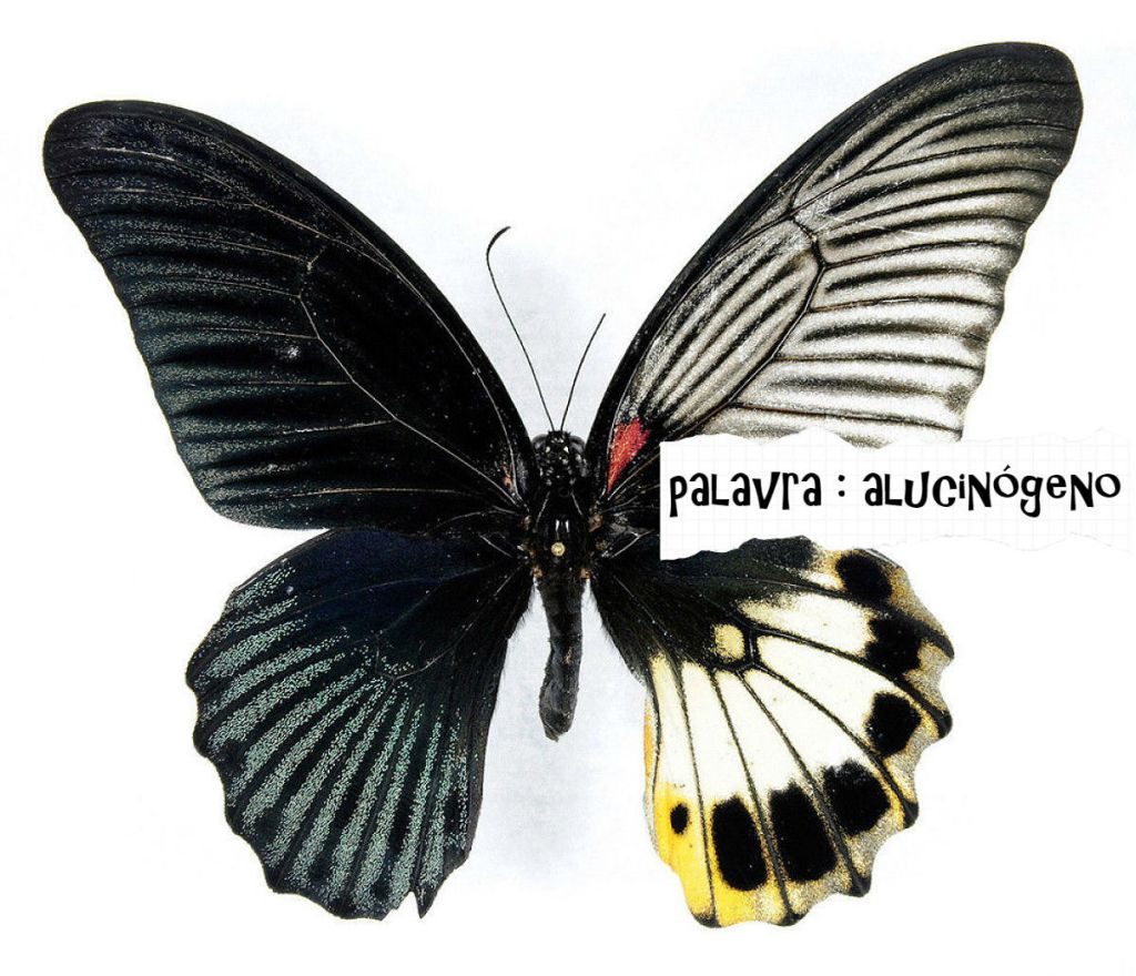 ALGO DE BRUTO E PRECIOSO HÁ NA POÉTICA DE ANDRÉ LUIZ PINTO – FÁBIO&nbsp;PESSANHA