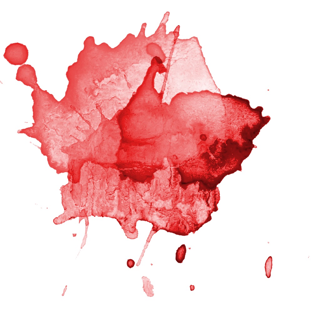 MISSÃO, VISÃO E VALORES – NATÁLIA&nbsp;ZUCCALA