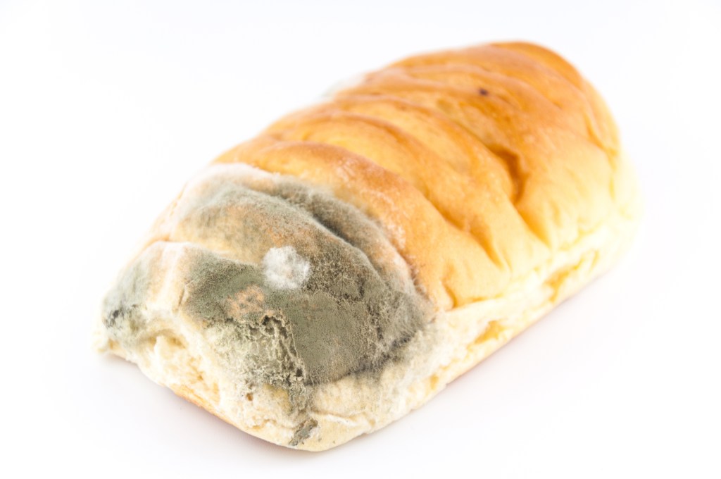 A IMENSIDÃO DO FIM – DANIEL PERRONI&nbsp;RATTO