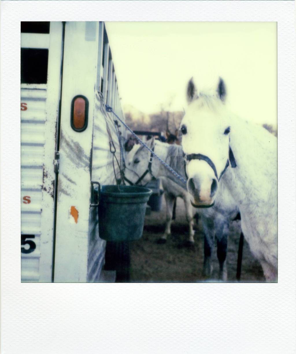 OLHAR DO ARTISTA – VERA&nbsp;SAAD