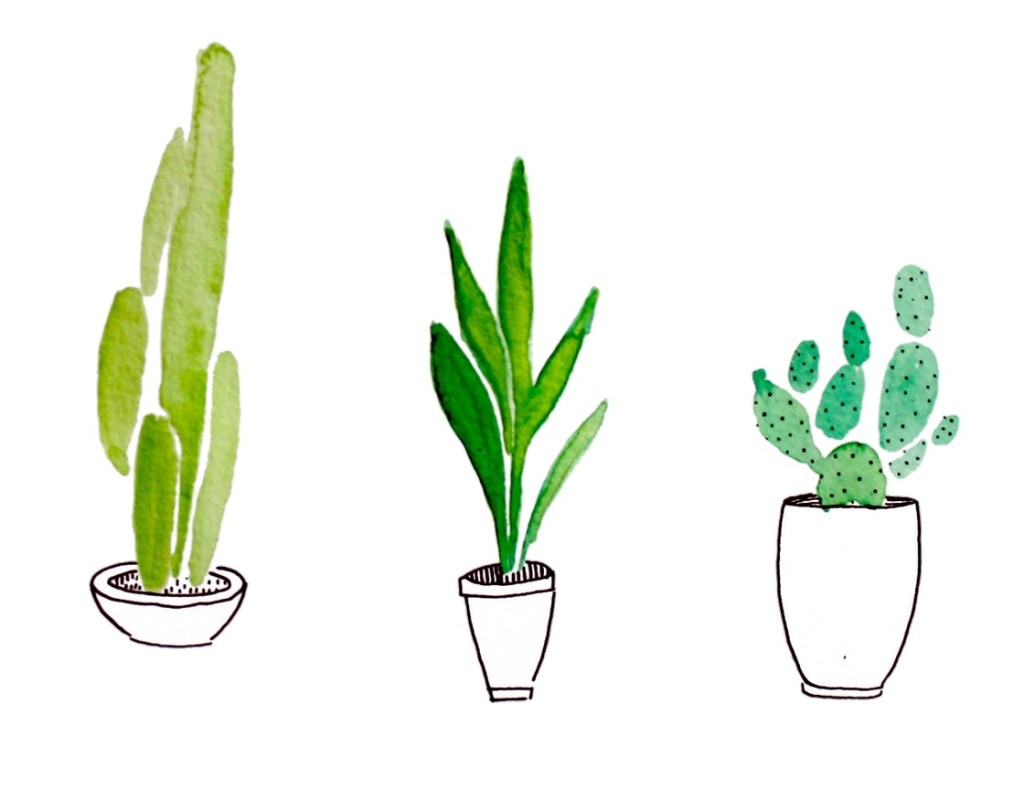 TRÊS POEMAS DE ROSANA&nbsp;BANHAROLI