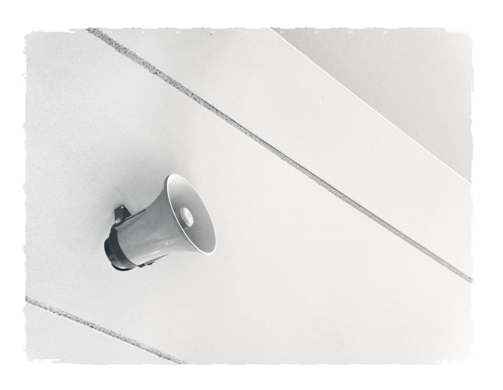 PA-LAVRAS – ANITA&nbsp;DEAK