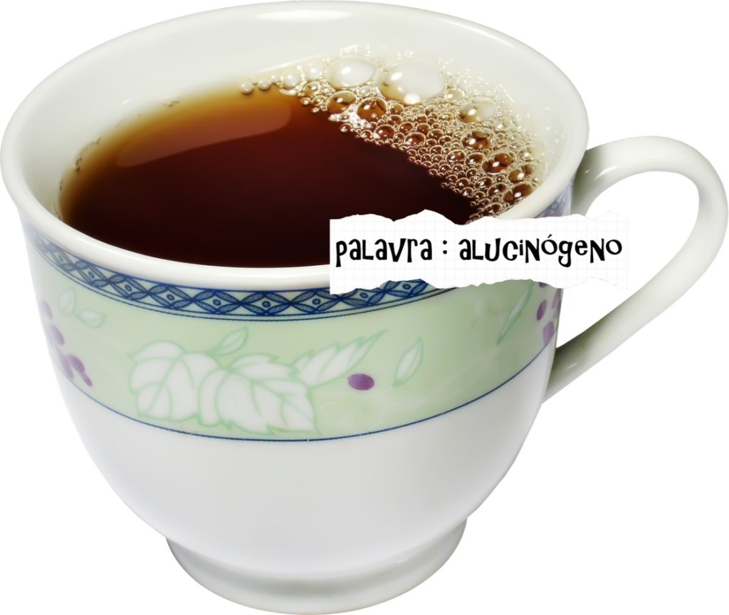 AS TRÊS PALAVRAS MAIS ESTRANHAS PARA UM POEMA DE WISŁAWA SZYMBORSKA – FÁBIO&nbsp;PESSANHA