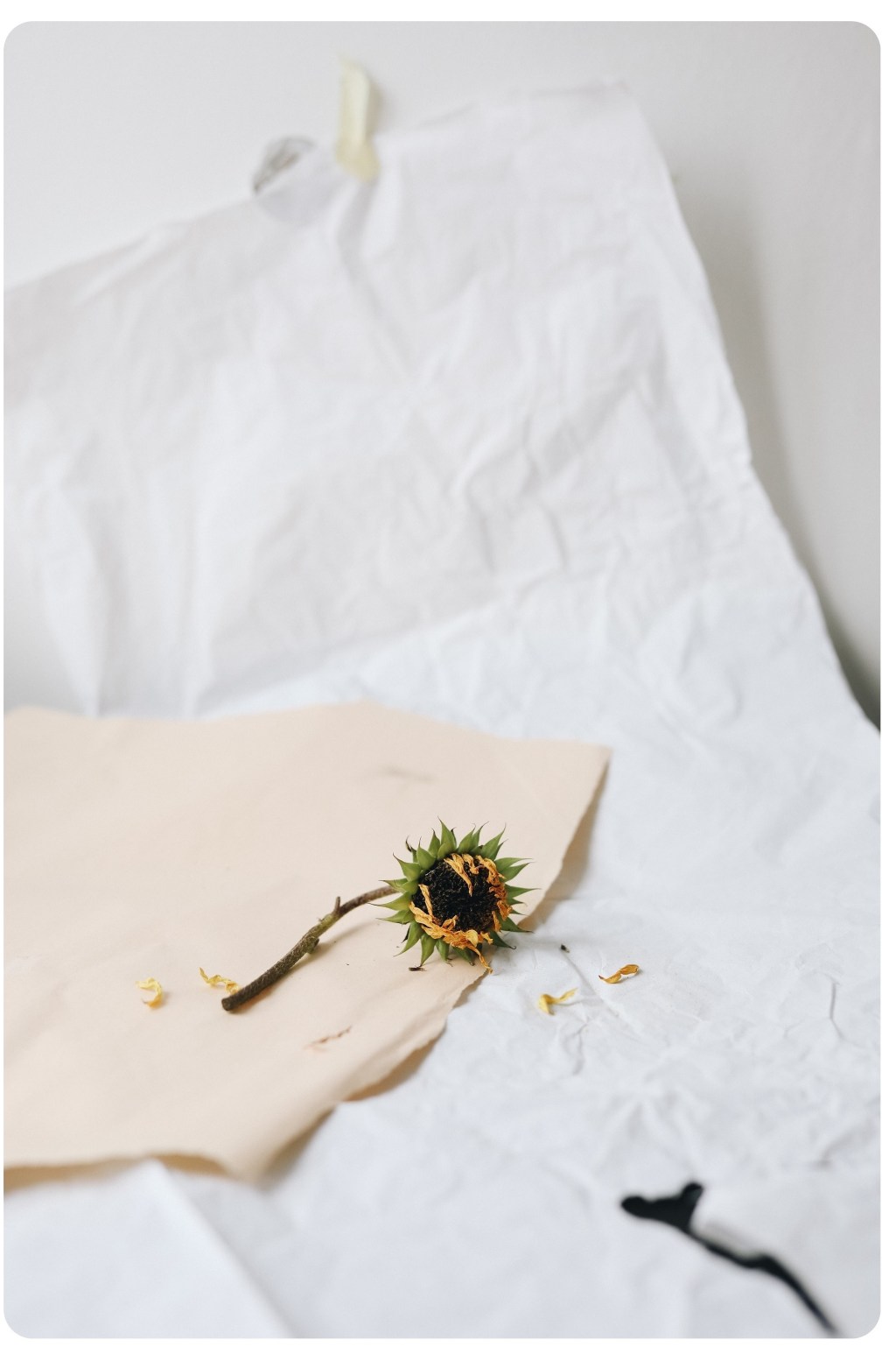 PRESENTE DO INDICATIVO – ANITA&nbsp;DEAK