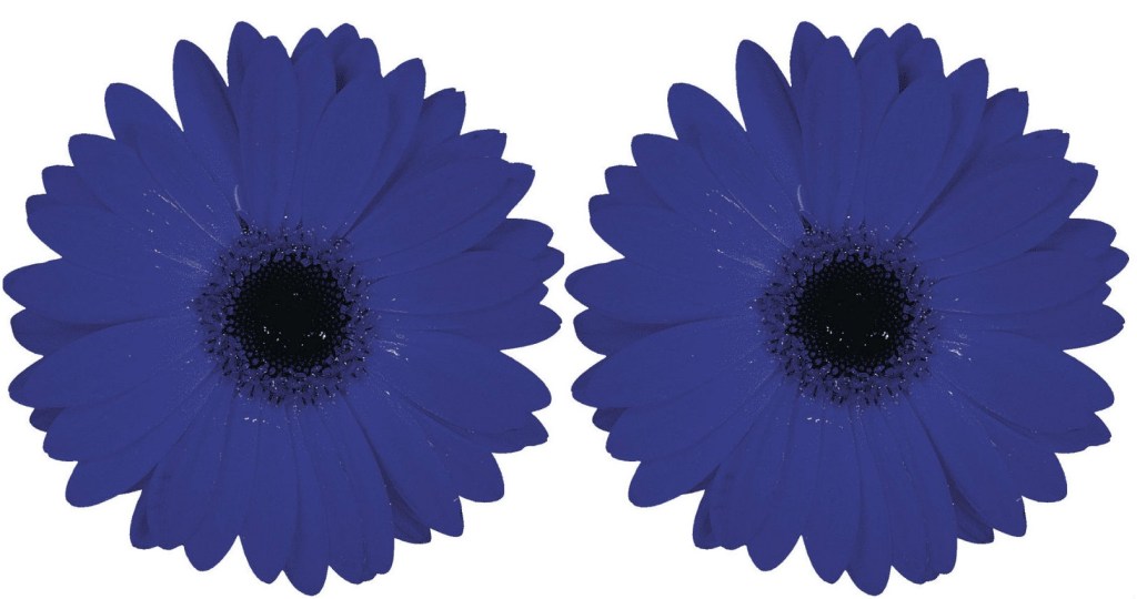 BRUJA – LAURA NAVARRO