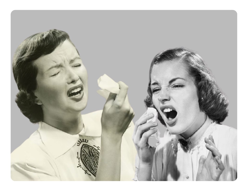 O ESPIRRO – THAIS LANCMAN