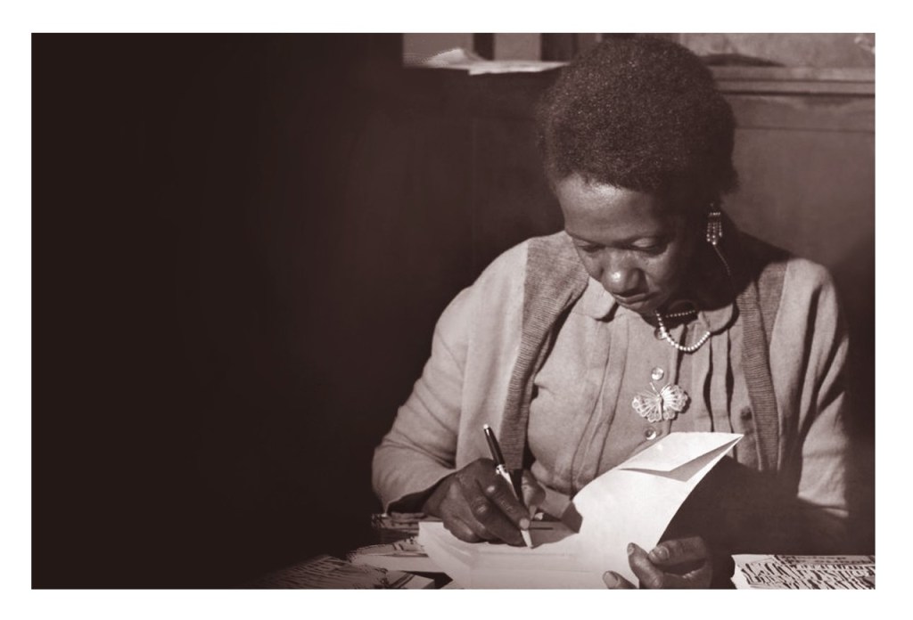 UM GRANDE QUARTO DE DESPEJO: BRASIL – ADRIANO B. ESPÍNDOLA&nbsp;SANTOS