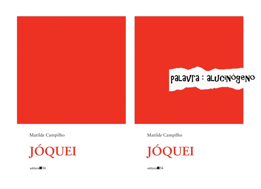 ALGUMAS FLORES NÃO COLHIDAS NO ROSEIRAL DE MATILDE CAMPILHO – FÁBIO&nbsp;PESSANHA