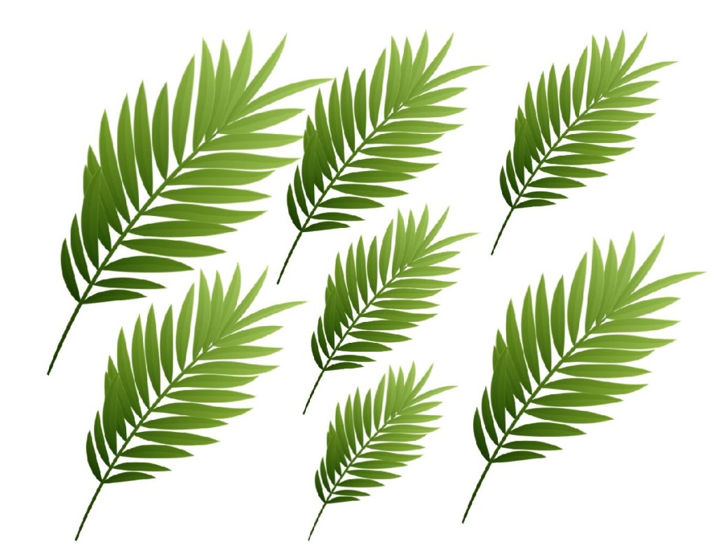 NATAL NOS TRÓPICOS – JOÃO PAULO PARISIO