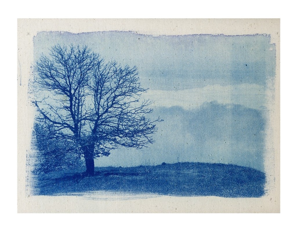 #QUINZE – GRAZIELA&nbsp;BRUM