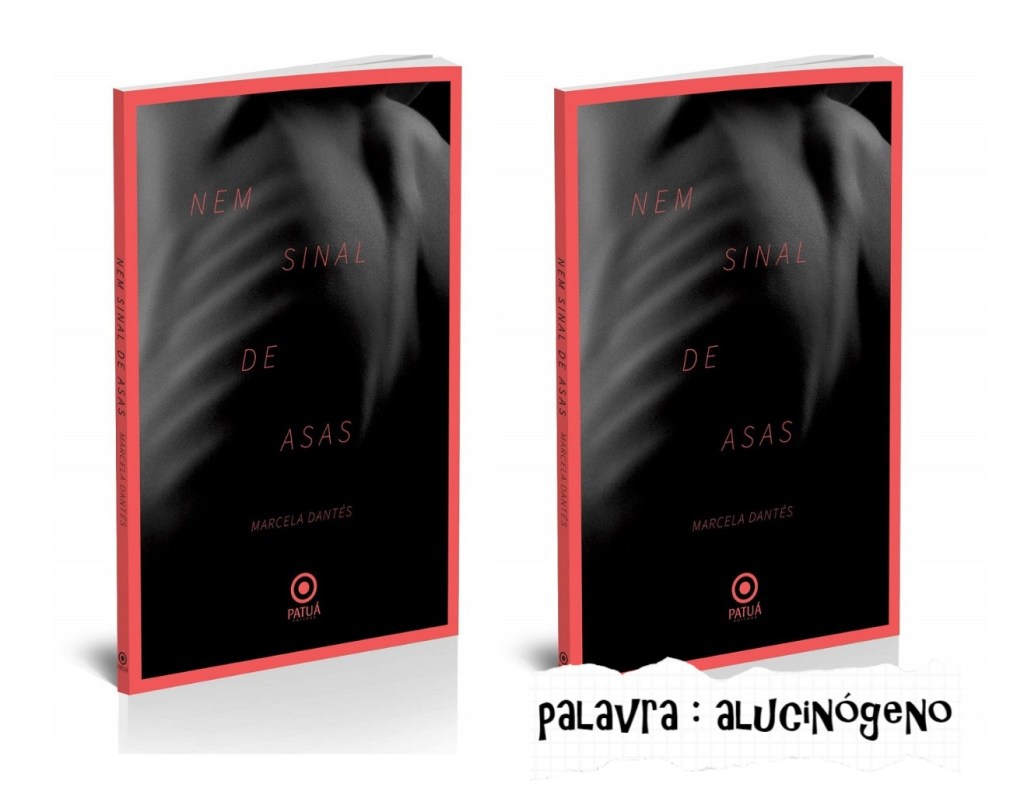 UM NOME ANGELICAL NO ROMANCE NEM SINAL DE ASAS, DE MARCELA DANTÉS – FÁBIO&nbsp;PESSANHA
