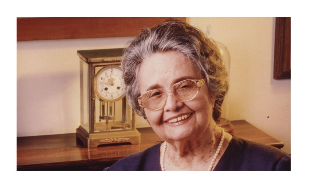 DENTES DE LEÃO – ADRIANO B. ESPÍNDOLA&nbsp;SANTOS