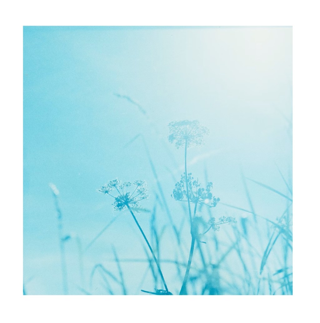 POEMAS PARA VOZES QUE (NÃO) CANTAM (MAIS) – THÁSSIO&nbsp;FERREIRA