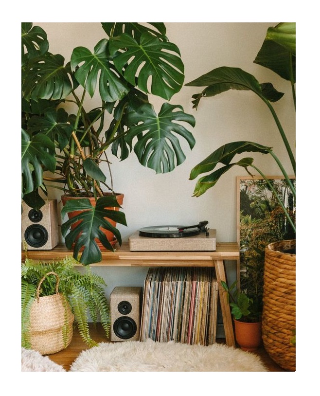 DIÁLOGOS – THÁSSIO FERREIRA