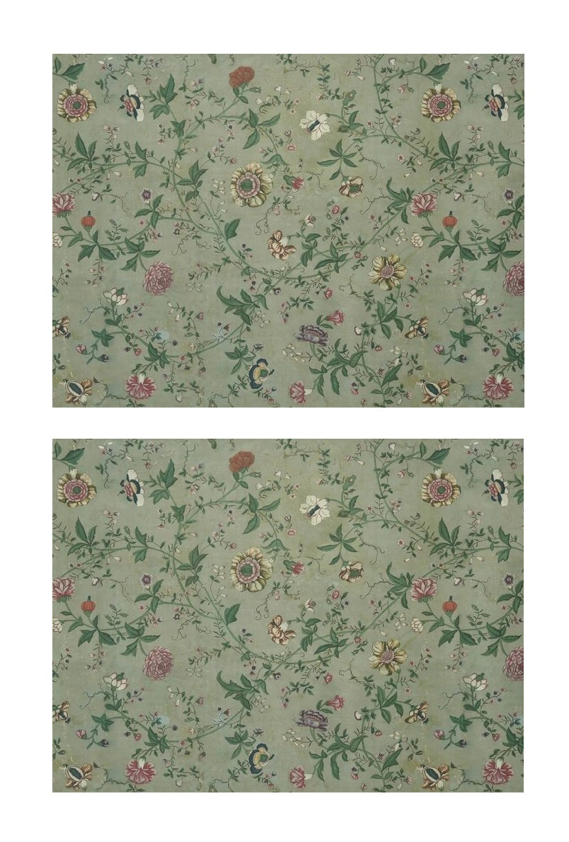 MEU MELHOR AMIGO – ALÊ MOTTA