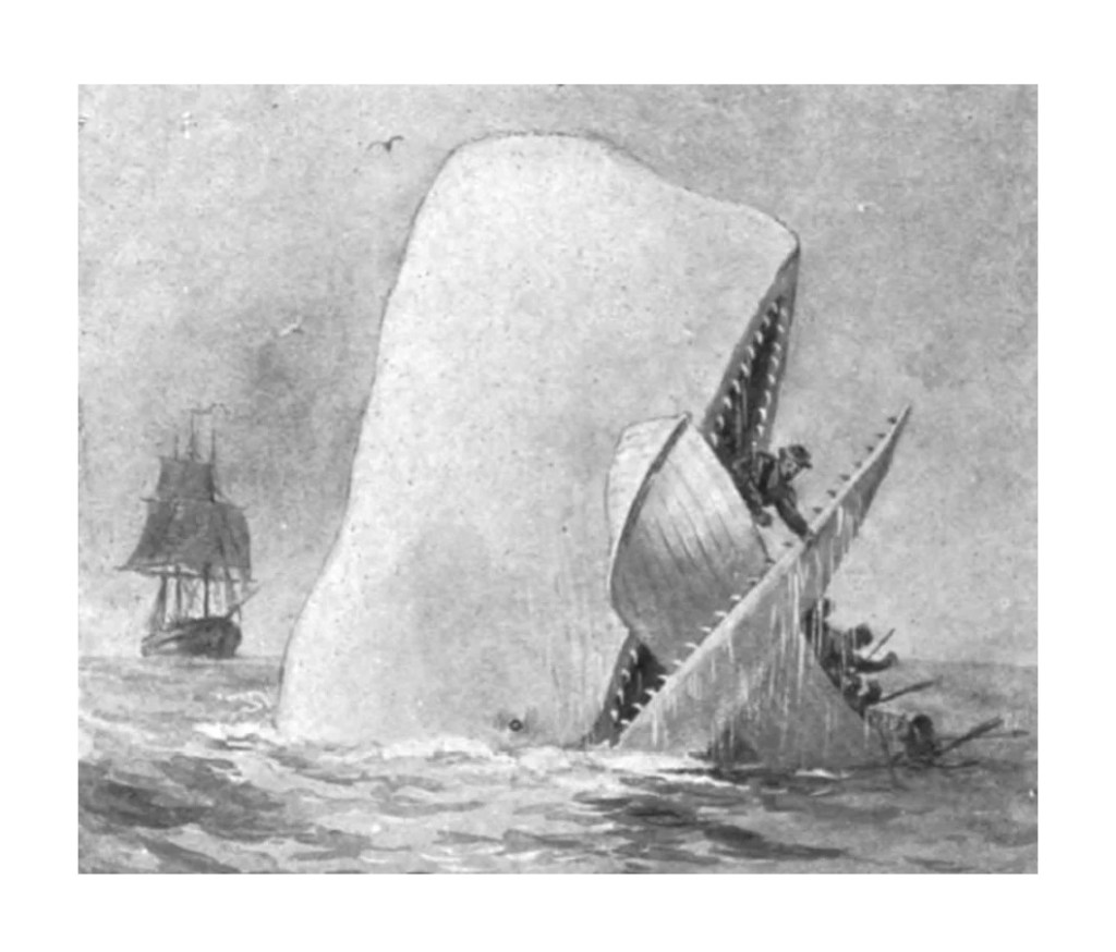 HORROR À VISTA: A ASSUSTADORA AVENTURA QUE INSPIROU O ROMANCE MOBY DICK – OSCAR NESTAREZ