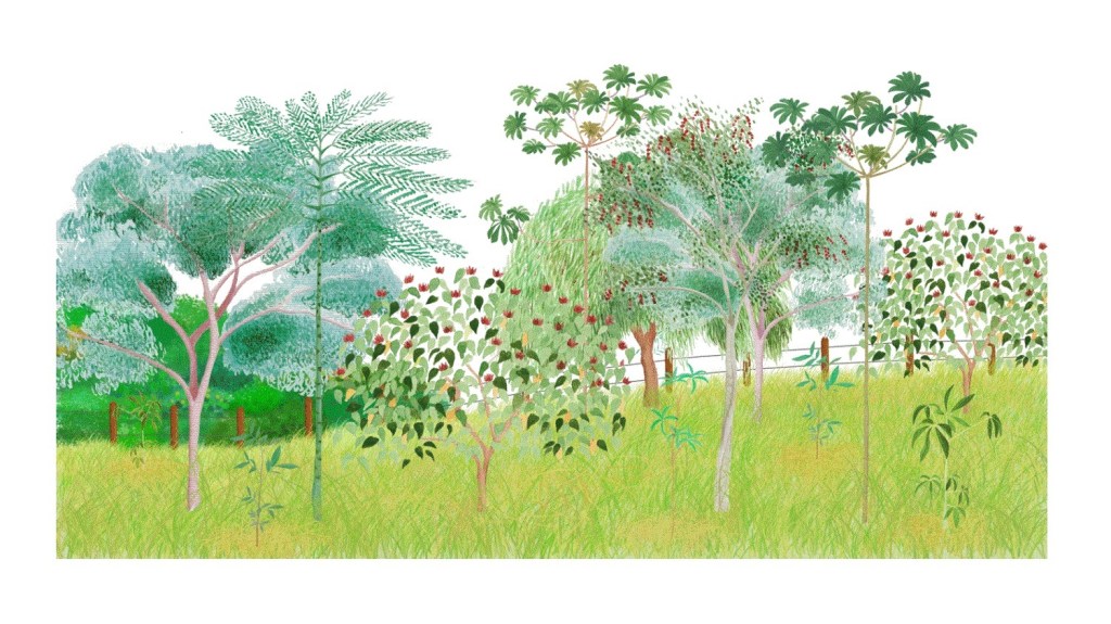 POEMAS DE INVERNO – THÁSSIO FERREIRA