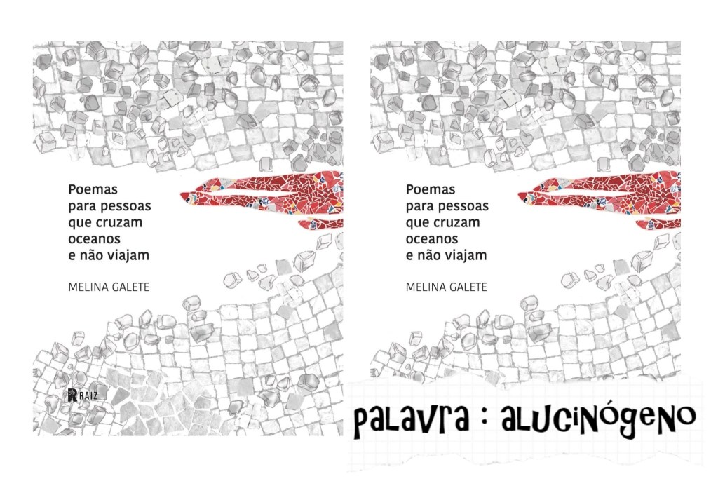 A DEDICATÓRIA-POEMA DE MELINA GALETE – FÁBIO PESSANHA