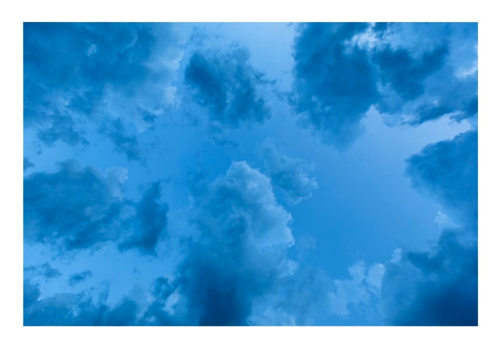 MUAY THAI – ALÊ MOTTA