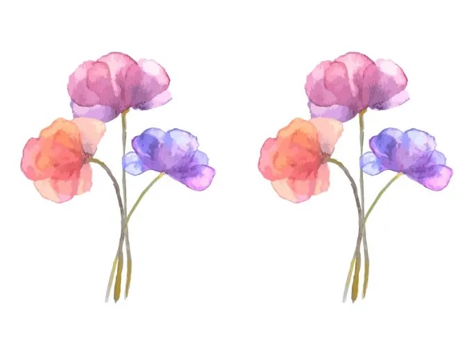 AFINIDADES – ALÊ MOTTA