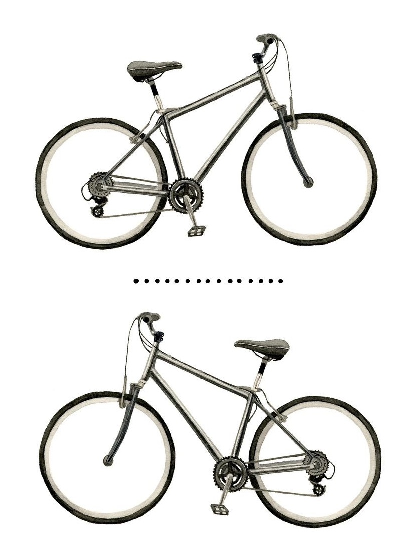 COMPETÊNCIA – ALÊ MOTTA